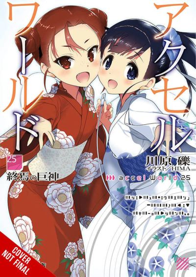 Cover for Reki Kawahara · Accel World, Vol. 25 (light novel) - ACCEL WORLD LIGHT NOVEL SC (Paperback Book) (2021)