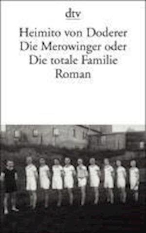 Dtv Tb.11308 Doderer.merowinger - Heimito Von Doderer - Livros -  - 9783423113083 - 