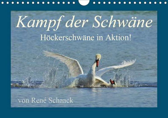 Kampf der Schwäne. Höckerschwän - Schaack - Books -  - 9783672083083 - 