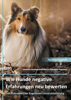 Cover for Madeline Kirschner-Kopmann · Wie Hunde negative Erfahrungen neu bewerten (Paperback Book) (2021)