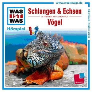 Cover for Audiobook · Was Ist Was Folge 48 (Hörbok (CD)) (2012)