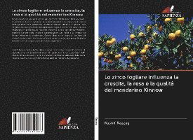 Cover for Razzaq · Lo zinco fogliare influenza la c (Book)