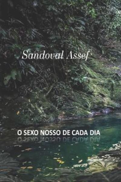 Cover for Sandoval Assef · O Sexo Nosso de Cada Dia (Paperback Book) (2019)