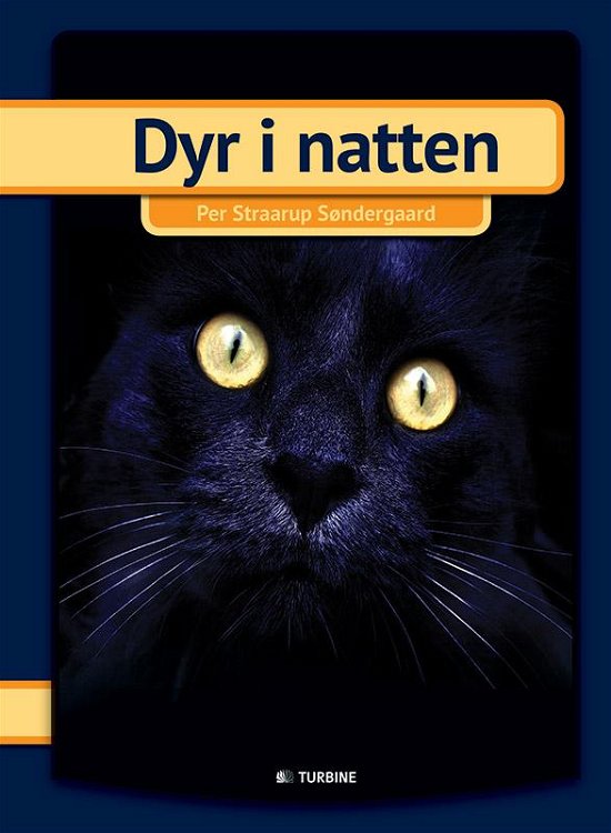 Cover for Per Straarup Søndergaard · Min første bog: Dyr i natten (Gebundenes Buch) [1. Ausgabe] (2016)