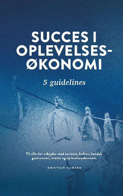 Cover for Kristian Hansen · Succes i oplevelsesøkonomi (Paperback Book) [1st edition] (2024)