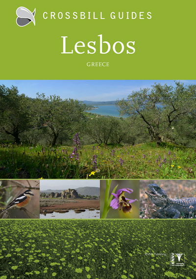 Alex Tabak · Lesbos: Greece (Paperback Book) (2016)