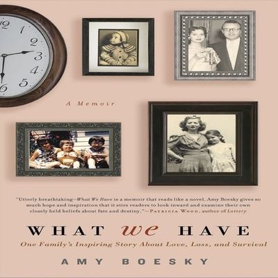 Cover for Amy Boesky · What We Have (CD) (2010)