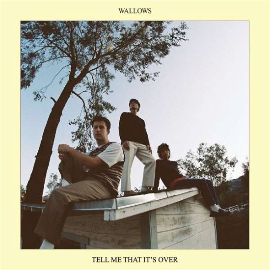 Cover for Wallows · Tell Me That It s Over (CD) (2022)