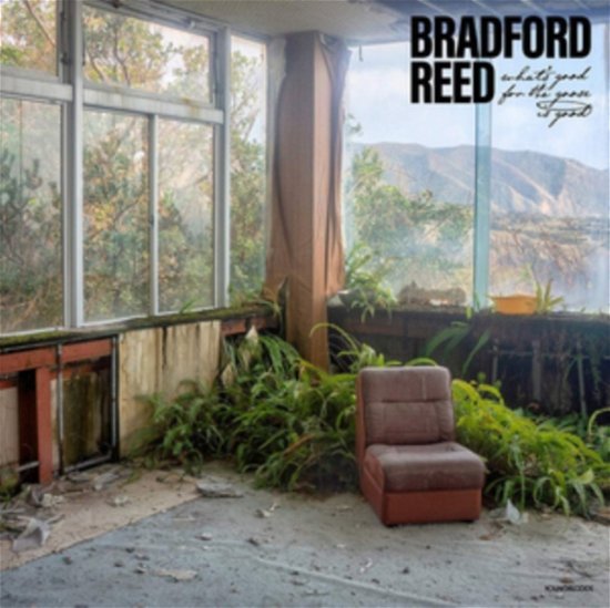 Bradford Reed · Whats Good For The Goose Is Good (LP) (2019)