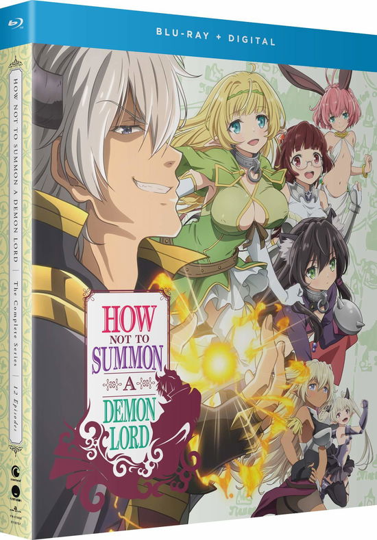 How Not to Summon a Demon Lord: the Complete Series - Blu-ray - Movies - FOREIGN, ACTION, ANIME, ADVENTURE, FANTA - 0704400018084 - October 29, 2019