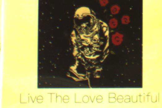 Drivin' N' Cryin' · Live The Love Beautiful (CD) (2020)