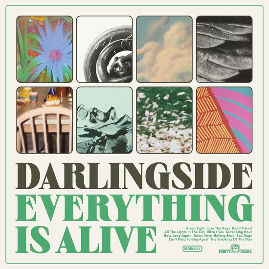 Everything is Alive - Darlingside - Music - POP - 0793888874084 - July 28, 2023