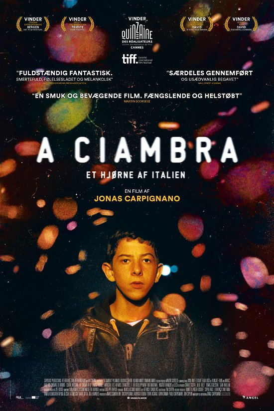 Cover for A Ciambra (DVD) (2018)