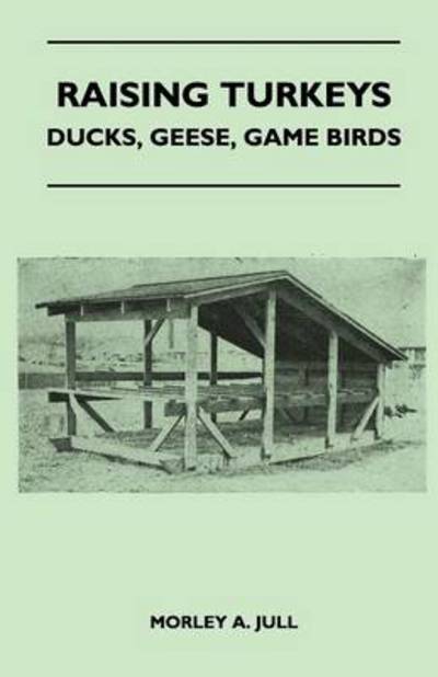 Cover for Morley a Jull · Raising Turkeys - Ducks, Geese, Game Birds (Paperback Book) (2011)