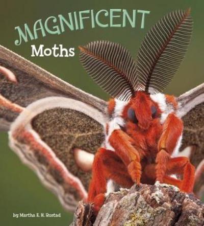 Magnificent Moths - Marvellous Minibeasts! - Martha E. H. Rustad - Books - Capstone Global Library Ltd - 9781474736084 - January 25, 2018