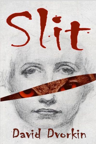 Cover for David Dvorkin · Slit (Paperback Book) (2014)