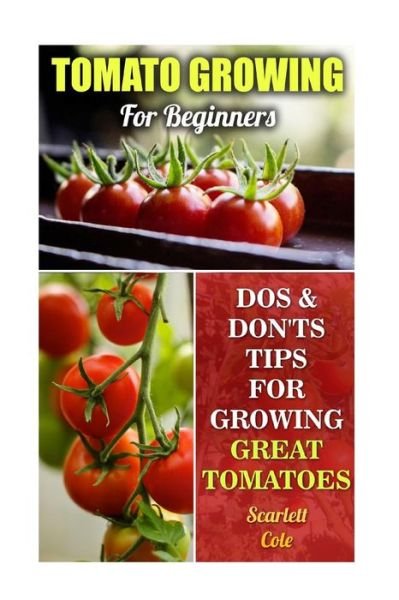 Cover for Scarlett Cole · Tomato Growing For Beginners : Dos &amp; Don'ts Tips For Growing Great Tomatoes (Pocketbok) (2017)