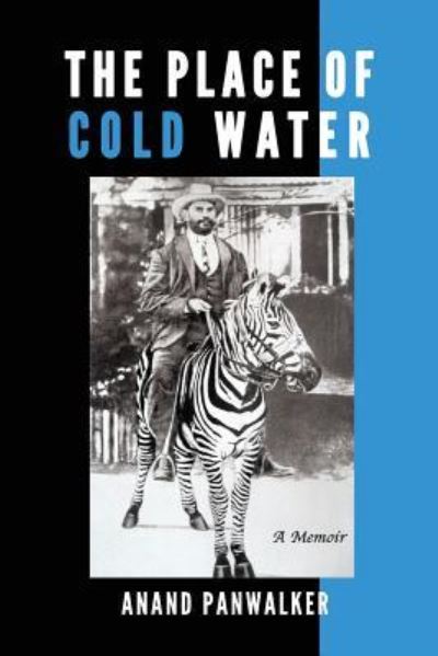 Cover for Anand Panwalker · The Place of Cold Water (Paperback Book) (2017)