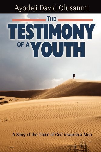 Cover for Ayodeji David Olusanmi · The Testimony of a Youth (Pocketbok) (2012)