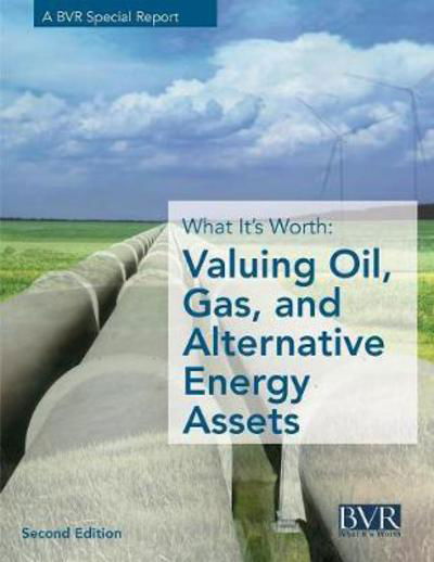 Cover for What It's Worth: Valuing Oil, Gas, and Alternative Energy Assets, Second Edition (Paperback Book) (2017)