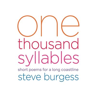 Cover for Steve Burgess · One Thousand Syllables (Paperback Book) (2020)