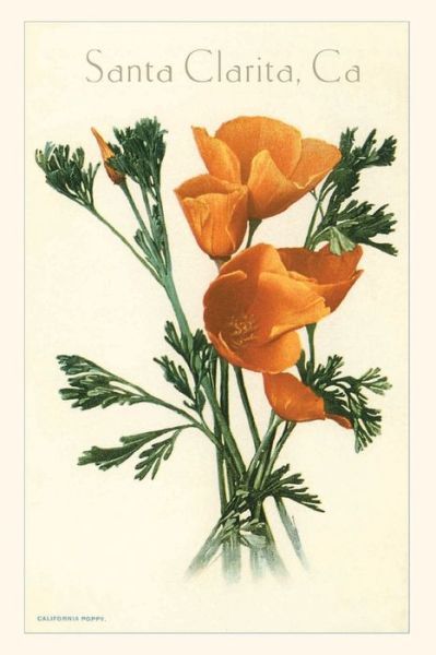 Cover for Found Image Press · The Vintage Journal California Poppy, Santa Clarita (Paperback Book) (2022)