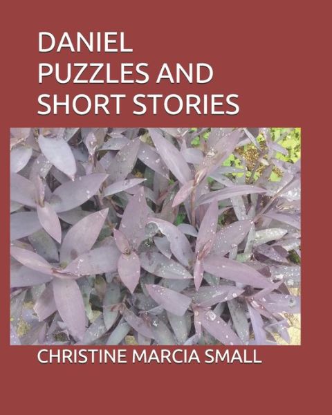 Daniel Puzzles and Short Stories - Christine Marcia Small - Books - Independently Published - 9781650860084 - December 25, 2019