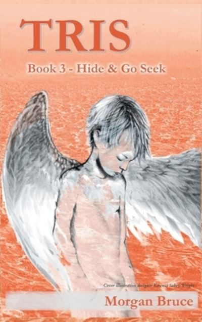Cover for Morgan Bruce · Tris 3 - Hide &amp; Go Seek (Hardcover Book) (2021)