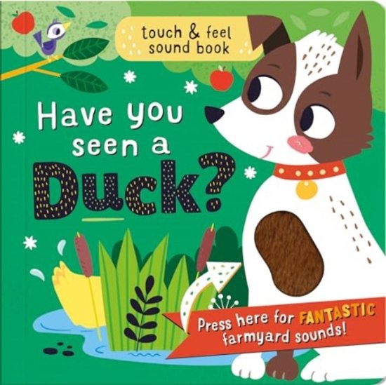 Have you seen a Duck? - Laura Chamberlain - Books - North Parade Publishing - 9781835090084 - June 1, 2024