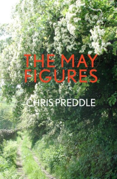 Cover for Chris Preddle · The May Figures (Pocketbok) (2022)