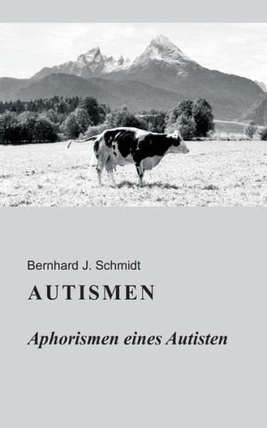 Autismen - Schmidt - Bøger -  - 9783750481084 - 8. juni 2020