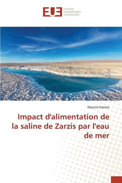 Cover for Hamza · Impact d'alimentation de la salin (Buch) (2020)