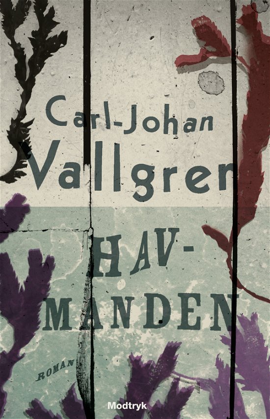 Cover for Carl-Johan Vallgren · Havmanden (Indbundet Bog) [1. udgave] [Indbundet] (2012)