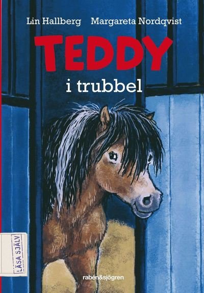 Cover for Lin Hallberg · Teddy: Teddy i trubbel (Hörbok (MP3)) (2018)