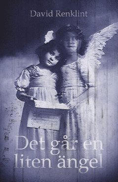 Cover for David Renklint · Det går en liten ängel (Book) (2018)