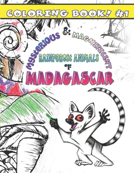 Cover for Matt Hill · Mysterious &amp; Magnificent Rainforest Animals of Madagascar (Paperback Book) (2020)