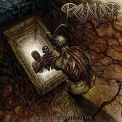 Cover for Paganizer · Born to Be Buried Al (CD) (2010)