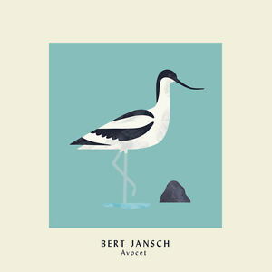 Avocet - Bert Jansch - Musiikki - EARTH RECORDINGS - 0809236171085 - perjantai 16. elokuuta 2019