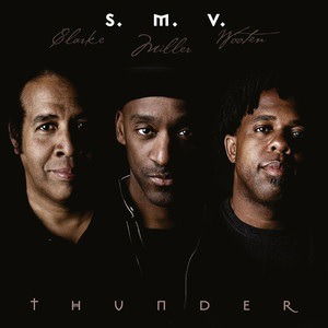 Stanley Clarke & Marcus Miller · Thunder (LP) (2022)