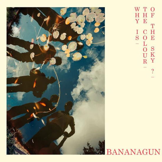 Cover for Bananagun · Why Is The Colour Of The Sky? (LP) (2024)