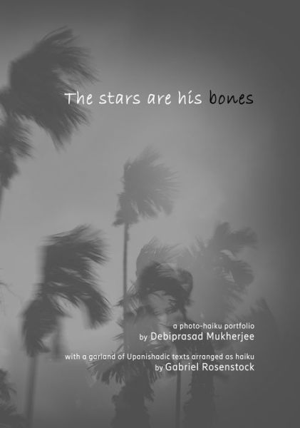 The stars are his bones - Debiprasad Mukherjee - Libros - CROSS CULTURAL COMMUNICATIONS - 9780893047085 - 21 de noviembre de 2021