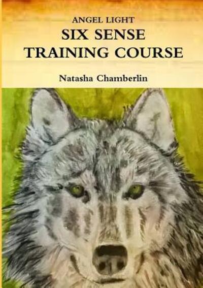 Natasha Chamberlin · Heightening Claircognizance Course (Paperback Book) (2016)