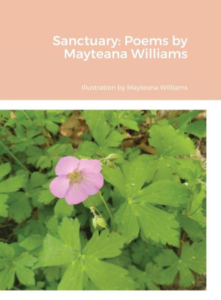 Cover for Mayteana Williams · Sanctuary (Hardcover Book) (2022)