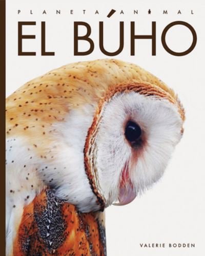 Cover for Valerie Bodden · Búho (Buch) (2021)