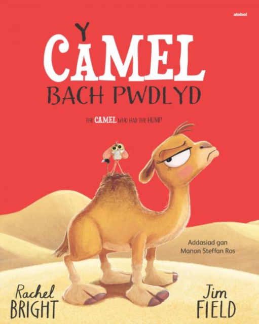 Cover for Rachel Bright · Y Camel Bach Pwdlyd / The Camel who had the hump (Paperback Book) [Bilingual edition] (2025)