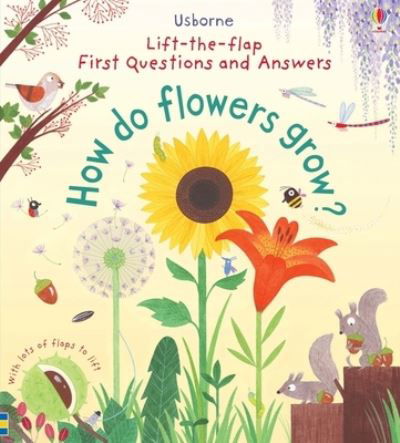 First Questions and Answers - Katie Daynes - Böcker - Usborne Publishing, Limited - 9781805319085 - 12 december 2023