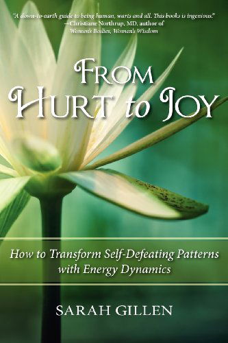 Cover for Sarah Gillen · From Hurt to Joy (Paperback Book) (2012)