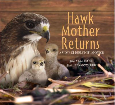 Cover for Kara Hagedorn · Hawk Mother Returns: A Story of Interspecies Adoption (Hardcover Book) (2024)