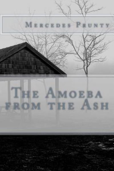 Cover for Mercedes Prunty · The Amoeba from the Ash (Paperback Book) (2017)