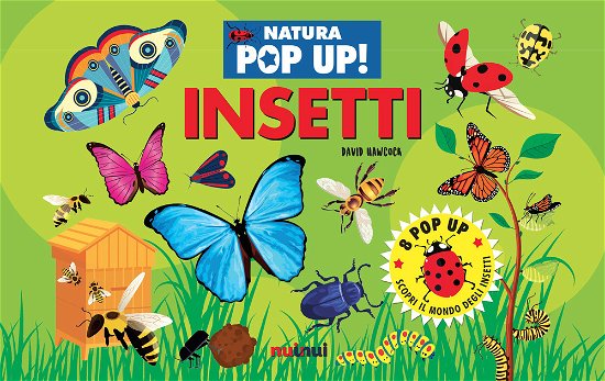 Cover for David Hawcock · Insetti. Natura Pop Up! Ediz. A Colori (Book)